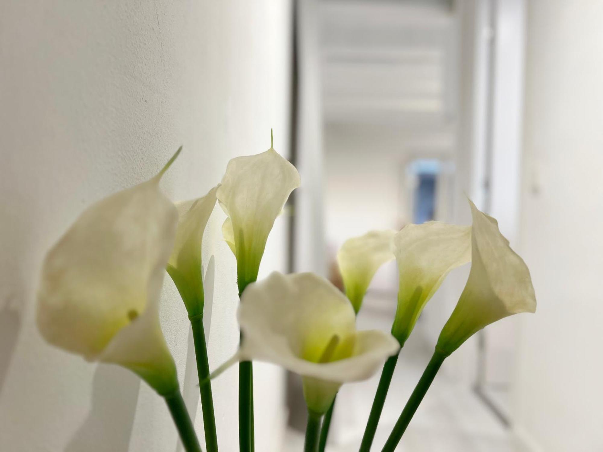 White Apartment