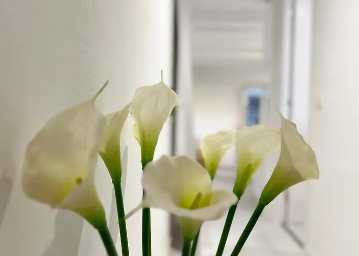 White Apartment Barcelona